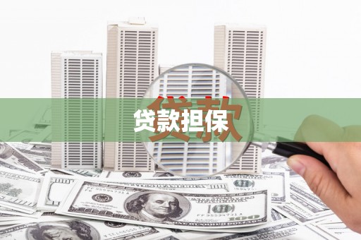 二仑贷款担保