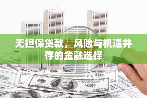 二仑无担保贷款，风险与机遇并存的金融选择