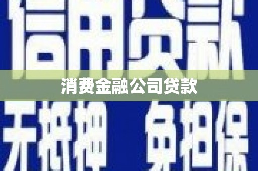 二仑消费金融公司贷款