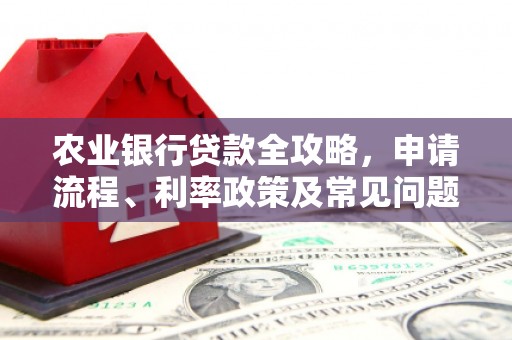 二仑农业银行贷款全攻略，申请流程、利率政策及常见问题解析