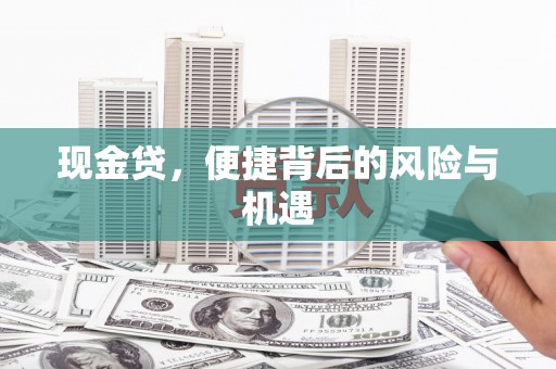 二仑现金贷，便捷背后的风险与机遇