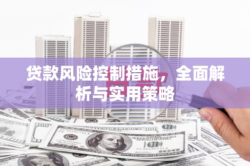 二仑贷款风险控制措施，全面解析与实用策略