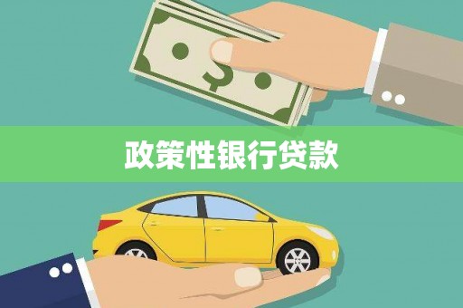 二仑政策性银行贷款