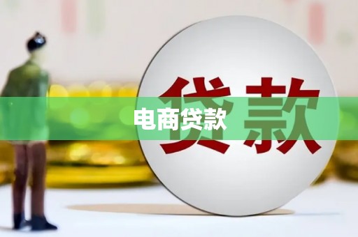二仑电商贷款