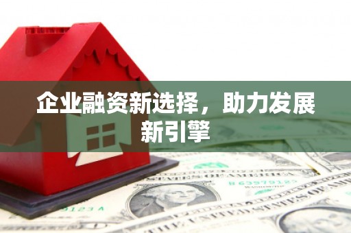 二仑企业融资新选择，助力发展新引擎