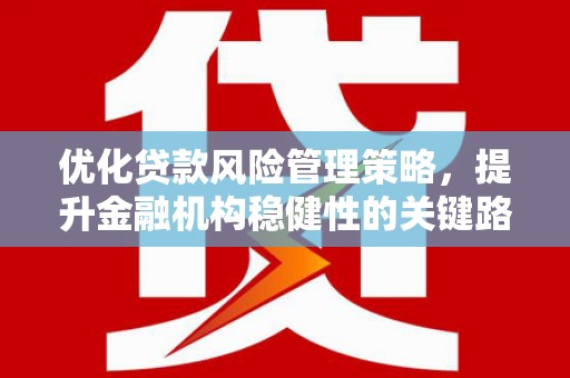 二仑优化贷款风险管理策略，提升金融机构稳健性的关键路径