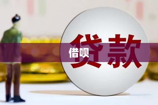 二仑借呗