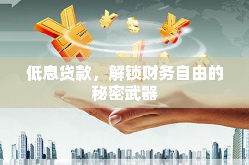 二仑低息贷款，解锁财务自由的秘密武器