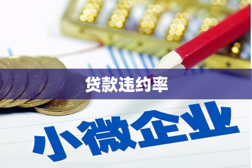 二仑贷款违约率