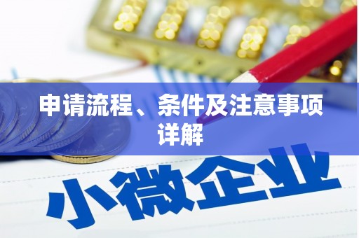 二仑申请流程、条件及注意事项详解