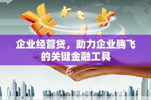 二仑企业经营贷，助力企业腾飞的关键金融工具