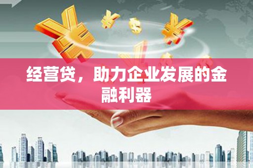 二仑经营贷，助力企业发展的金融利器