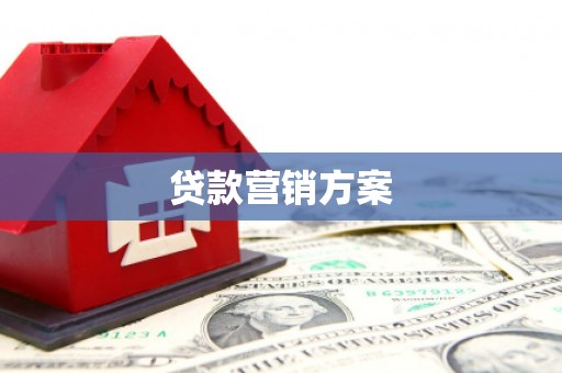 二仑贷款营销方案