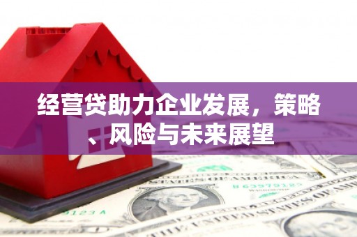 二仑经营贷助力企业发展，策略、风险与未来展望