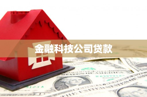 二仑金融科技公司贷款