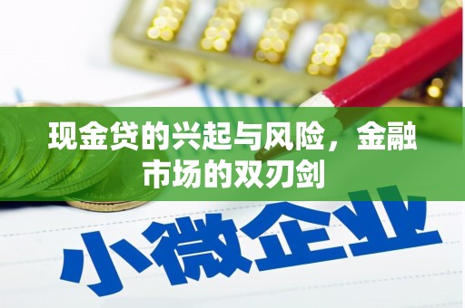 二仑现金贷的兴起与风险，金融市场的双刃剑
