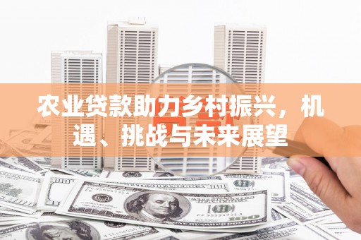 二仑农业贷款助力乡村振兴，机遇、挑战与未来展望