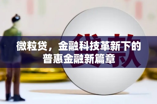 二仑微粒贷，金融科技革新下的普惠金融新篇章