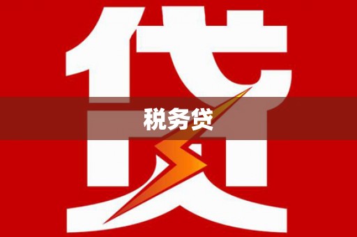 二仑税务贷