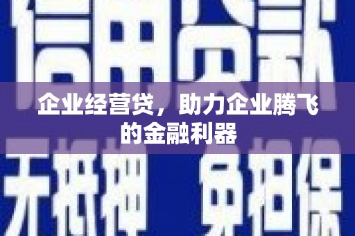 二仑企业经营贷，助力企业腾飞的金融利器