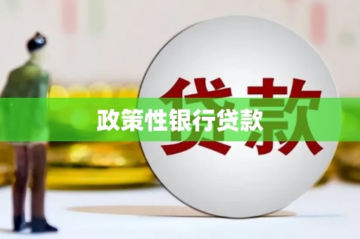 二仑政策性银行贷款