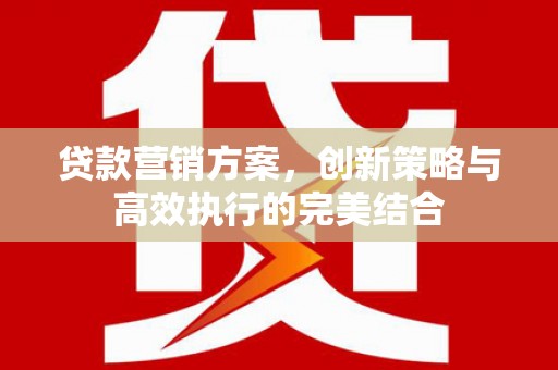 二仑贷款营销方案，创新策略与高效执行的完美结合