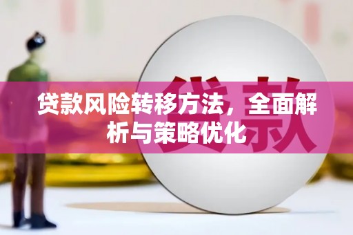 二仑贷款风险转移方法，全面解析与策略优化