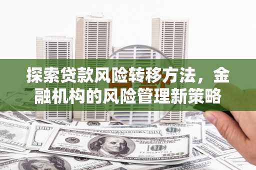 二仑探索贷款风险转移方法，金融机构的风险管理新策略