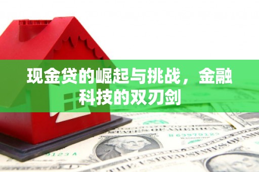 二仑现金贷的崛起与挑战，金融科技的双刃剑