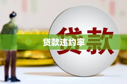 二仑贷款违约率