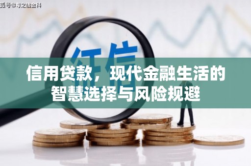 二仑信用贷款，现代金融生活的智慧选择与风险规避