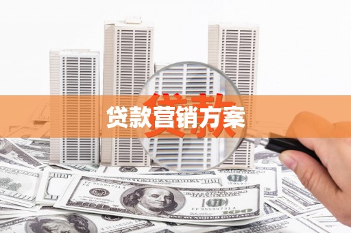 二仑贷款营销方案