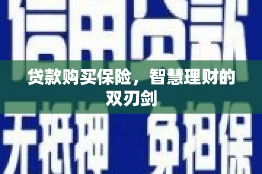 二仑贷款购买保险，智慧理财的双刃剑