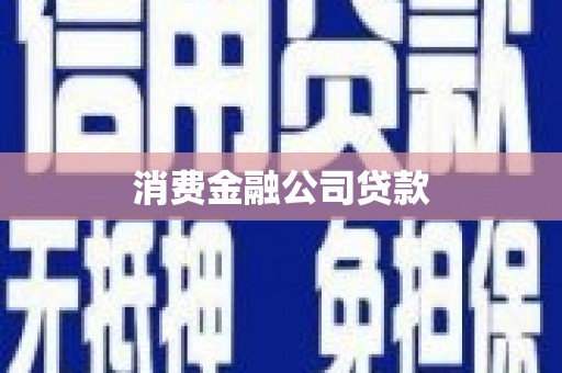 二仑消费金融公司贷款