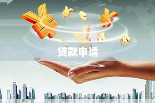 二仑贷款申请