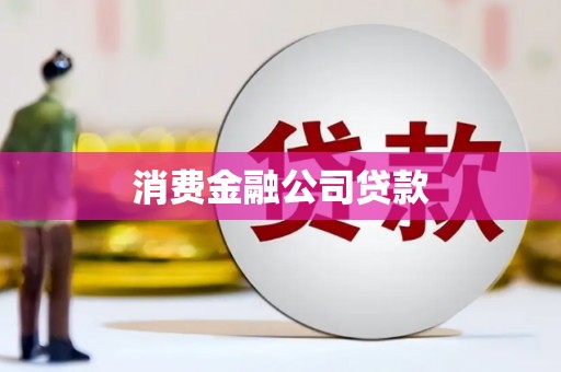 二仑消费金融公司贷款
