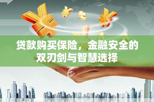 二仑贷款购买保险，金融安全的双刃剑与智慧选择