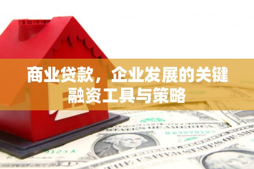 二仑商业贷款，企业发展的关键融资工具与策略