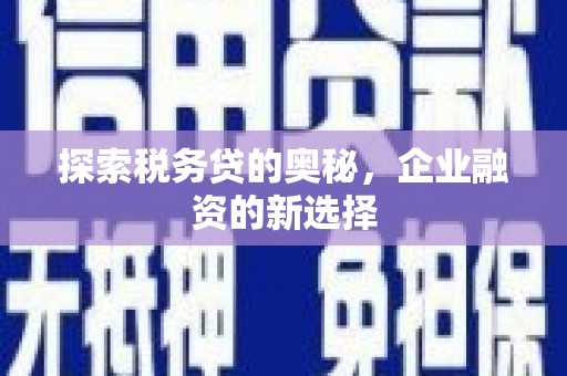 二仑探索税务贷的奥秘，企业融资的新选择