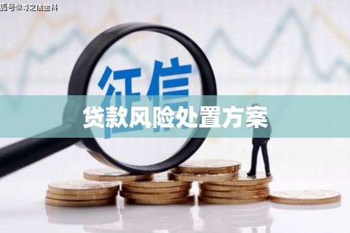 二仑贷款风险处置方案