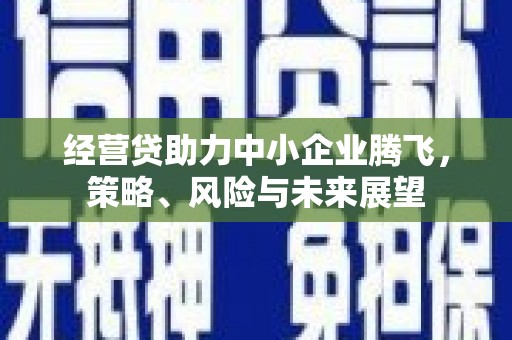 二仑经营贷助力中小企业腾飞，策略、风险与未来展望
