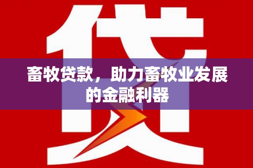 二仑畜牧贷款，助力畜牧业发展的金融利器