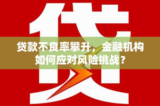 二仑贷款不良率攀升，金融机构如何应对风险挑战？
