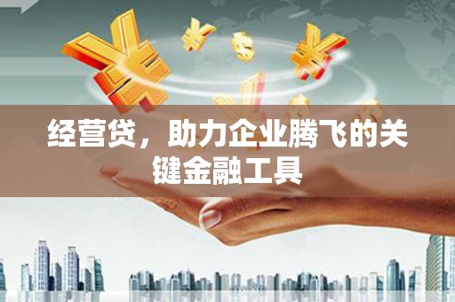 二仑经营贷，助力企业腾飞的关键金融工具