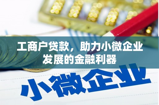 二仑工商户贷款，助力小微企业发展的金融利器