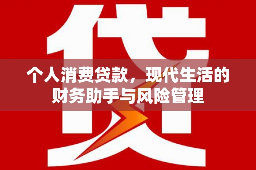 二仑个人消费贷款，现代生活的财务助手与风险管理