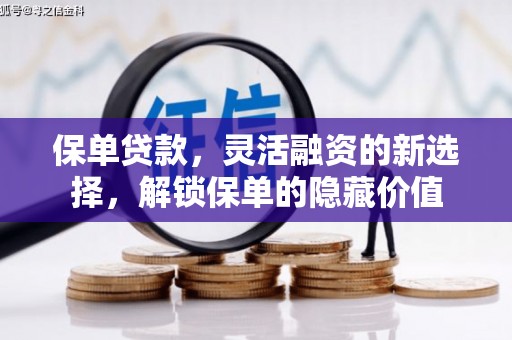 二仑保单贷款，灵活融资的新选择，解锁保单的隐藏价值