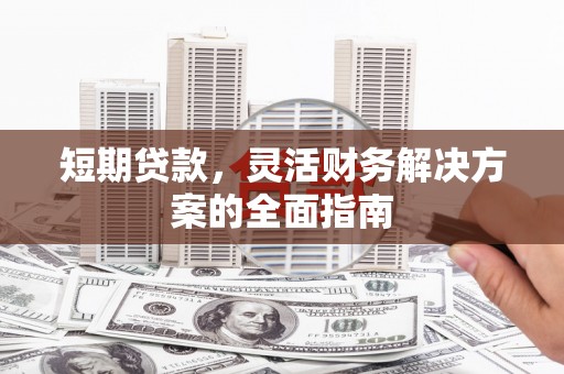 二仑短期贷款，灵活财务解决方案的全面指南