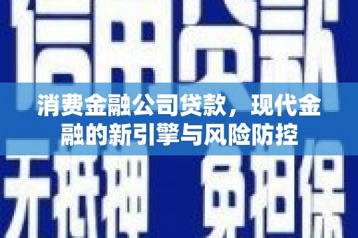 二仑消费金融公司贷款，现代金融的新引擎与风险防控