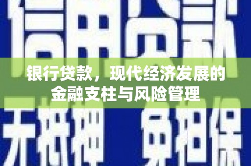 二仑银行贷款，现代经济发展的金融支柱与风险管理